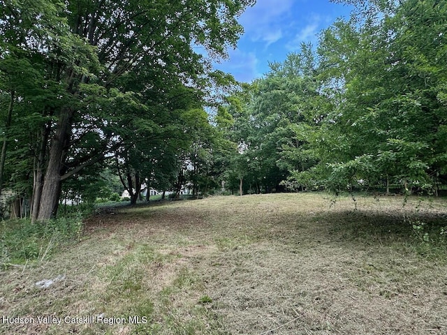 0 Murray St, Chatham, NY 12037 - photo 6