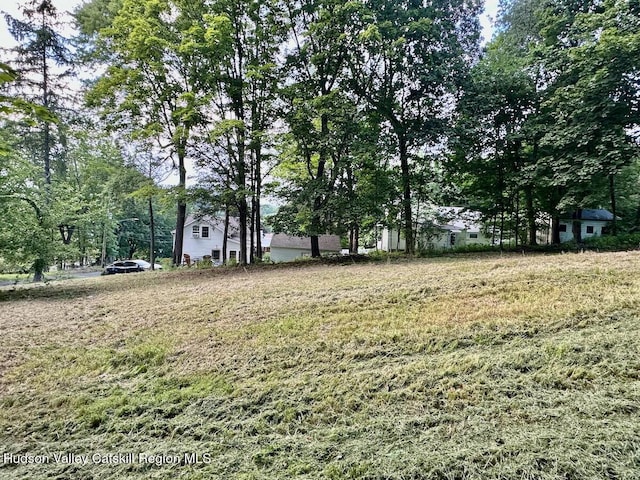 0 Murray St, Chatham, NY 12037 - photo 4