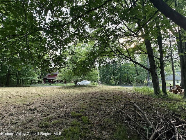 0 Murray St, Chatham, NY 12037 - photo 12