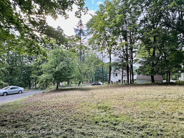 0 Murray St, Chatham, NY 12037 - photo 3