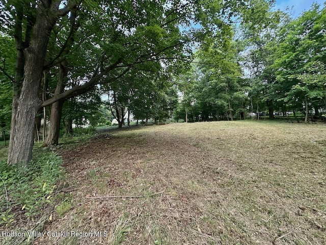 0 Murray St, Chatham, NY 12037 - photo 5