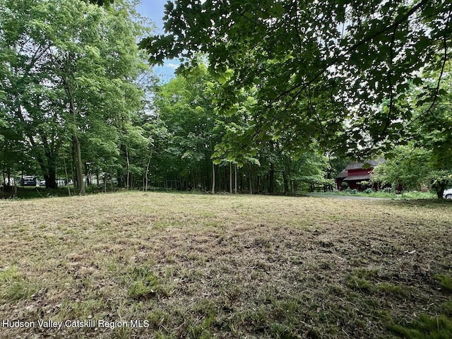 0 Murray St, Chatham, NY 12037 - photo 13