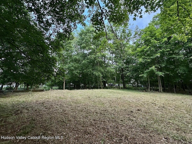 0 Murray St, Chatham, NY 12037 - photo 9