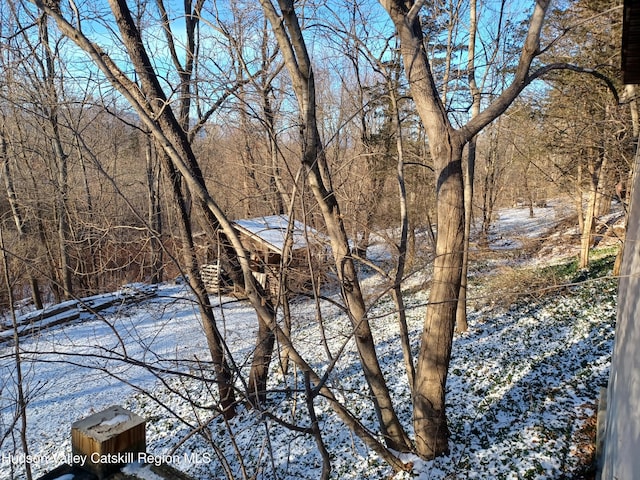 view of snowy landscape