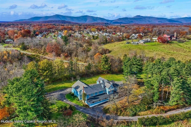 996 Dominican Ln, Saugerties, NY 12477 - aerial view of property and surrounding area with a mountain backdrop
