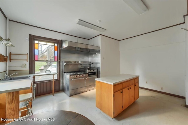 996 Dominican Ln, Saugerties, NY 12477 - kitchen with exhaust hood, light countertops, and ornamental molding
