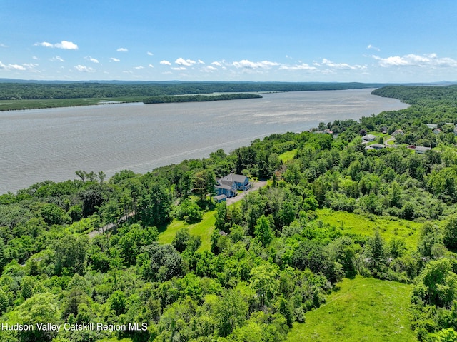 996 Dominican Ln, Saugerties, NY 12477 - photo 2