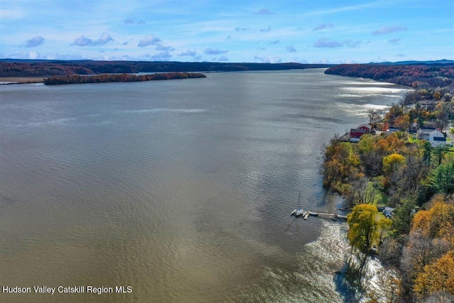 996 Dominican Ln, Saugerties, NY 12477 - water view