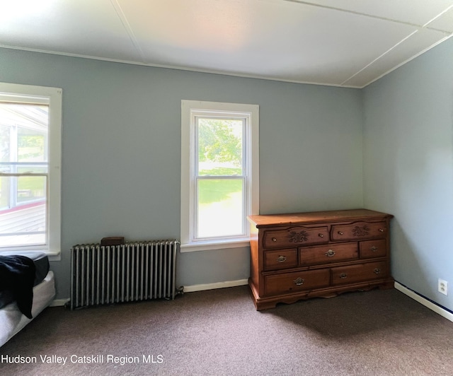 130 N Washington St, Athens, NY 12015 - photo 35