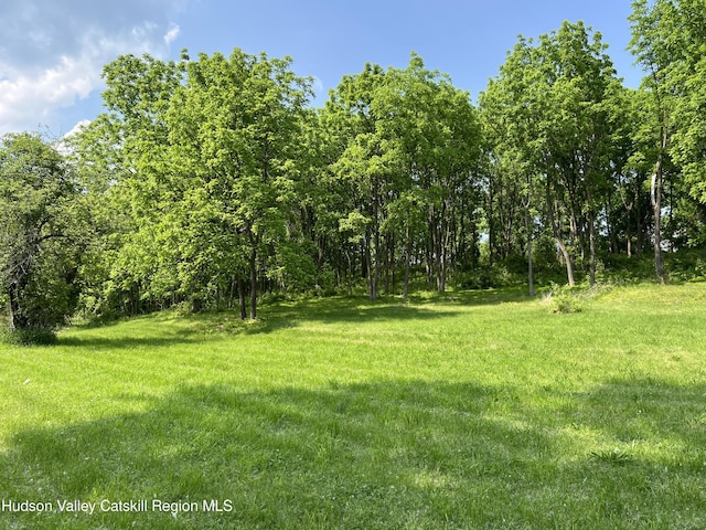130 N Washington St, Athens, NY 12015 - photo 5