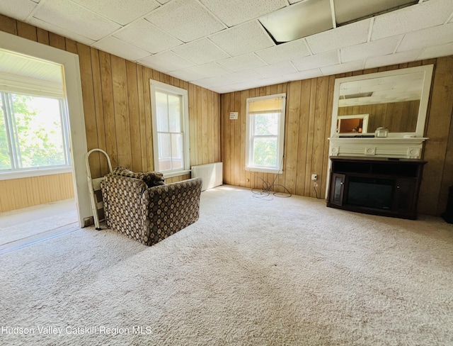 130 N Washington St, Athens, NY 12015 - photo 24