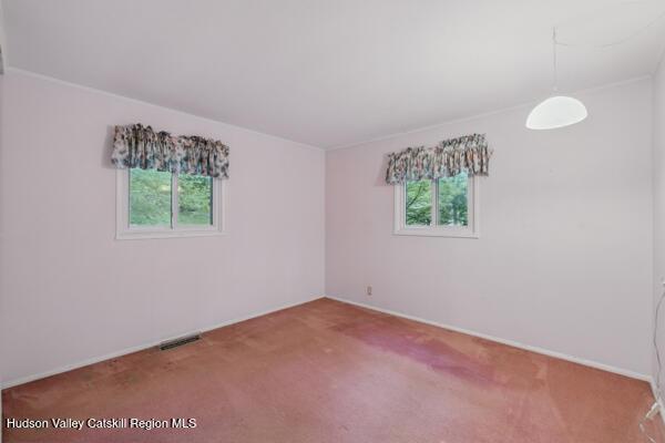 18 Harrington St, New Paltz, NY 12561 - photo 19