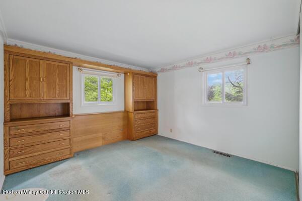 18 Harrington St, New Paltz, NY 12561 - photo 17
