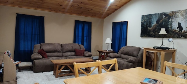 454 Niles Rd, Medusa, NY 12120 - carpeted living area with wood ceiling, lofted ceiling, and a baseboard radiator