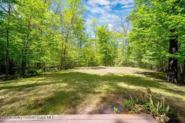180 W W Hurley Rd, Woodstock, NY 12498 - photo 38