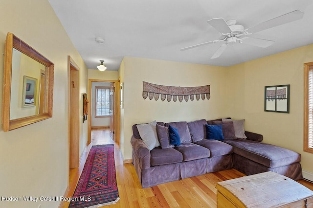 living room featuring ceiling fan and light hardwood / wood-style flooring