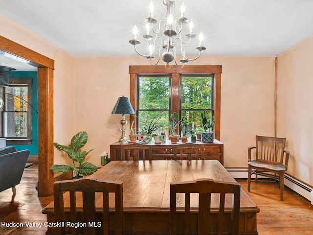 dining room with an inviting chandelier and light hardwood / wood-style flooring