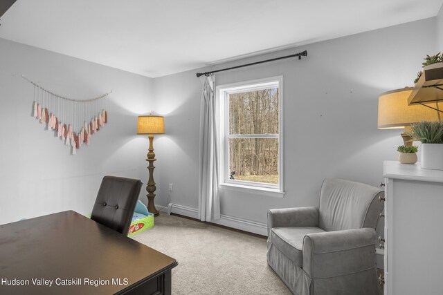 office area featuring carpet flooring and baseboards
