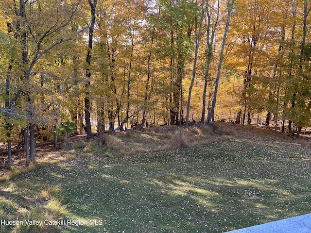 22 Beacham Rd, Rhinebeck, NY 12572 - photo 24