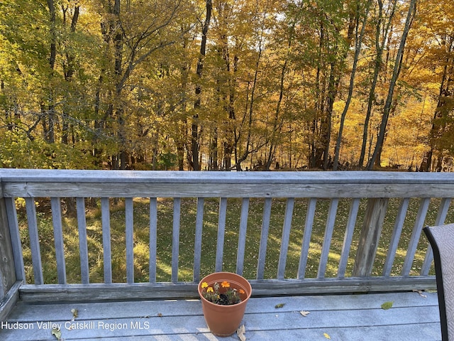 22 Beacham Rd, Rhinebeck, NY 12572 - photo 23