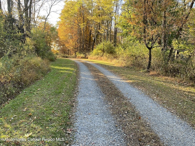 22 Beacham Rd, Rhinebeck, NY 12572 - photo 2