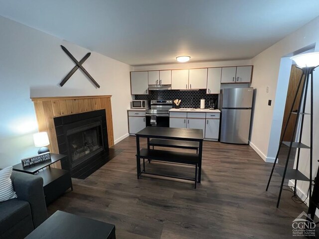 166 Hunter Dr Unit V8, Hunter, NY 12442 - kitchen featuring stainless steel appliances, under cabinet range hood, dark wood-style flooring, backsplash, and a fireplace with flush hearth