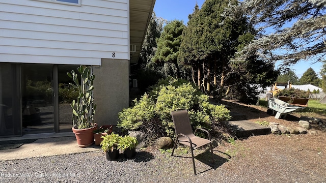 view of yard featuring a patio area