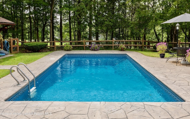 view of swimming pool featuring a patio area