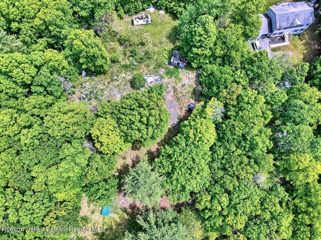 268 Potic Mountain Rd, Catskill, NY 12414
