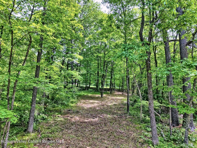 268 Potic Mountain Rd, Catskill, NY 12414