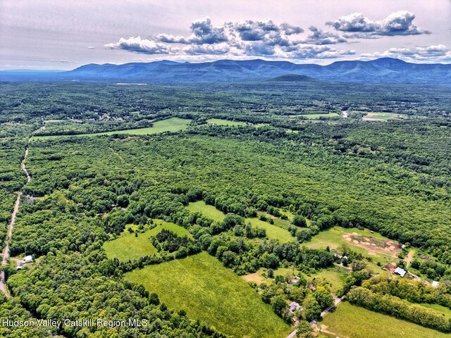 268 Potic Mountain Rd, Catskill, NY 12414