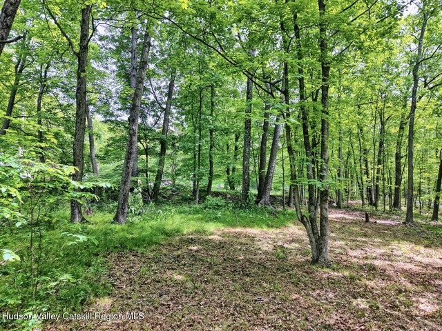 268 Potic Mountain Rd, Catskill, NY 12414
