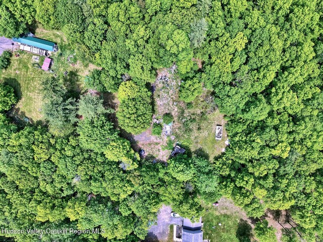 268 Potic Mountain Rd, Catskill, NY 12414