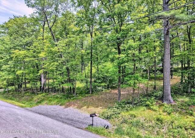268 Potic Mountain Rd, Catskill, NY 12414