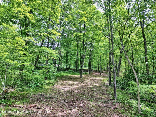 268 Potic Mountain Rd, Catskill, NY 12414