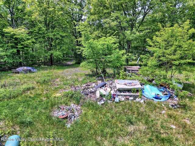268 Potic Mountain Rd, Catskill, NY 12414