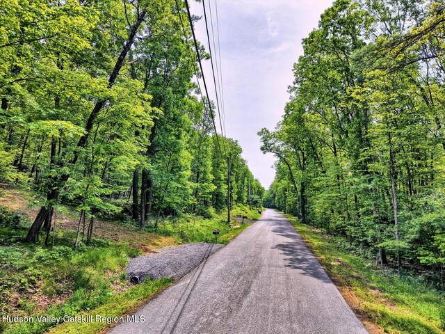 268 Potic Mountain Rd, Catskill, NY 12414