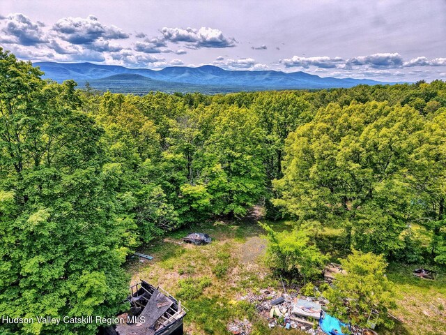 268 Potic Mountain Rd, Catskill, NY 12414