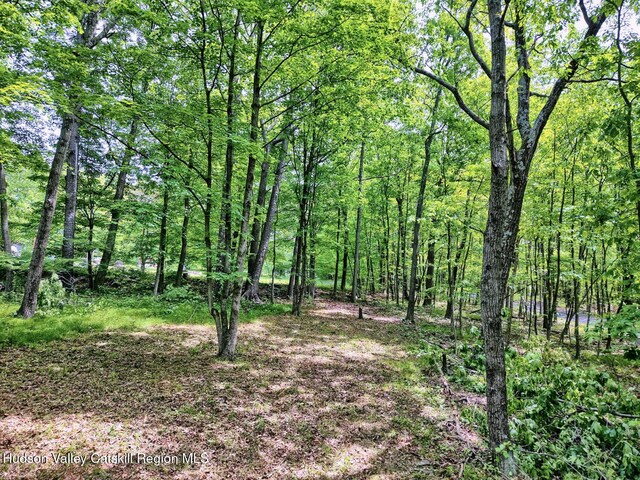 268 Potic Mountain Rd, Catskill, NY 12414