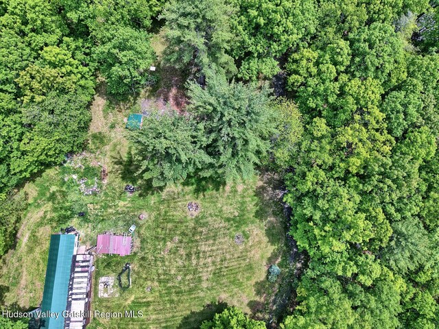 268 Potic Mountain Rd, Catskill, NY 12414