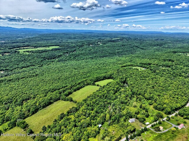 268 Potic Mountain Rd, Catskill, NY 12414