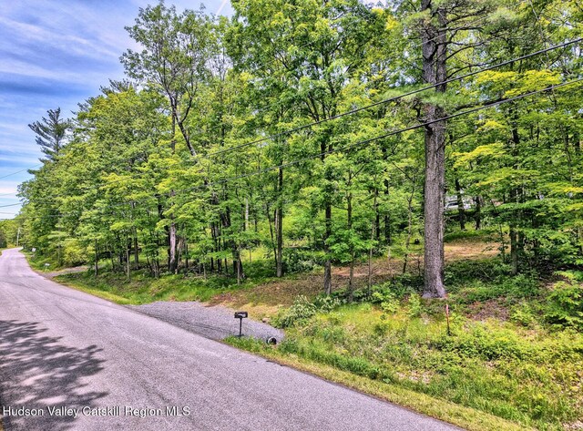 268 Potic Mountain Rd, Catskill, NY 12414