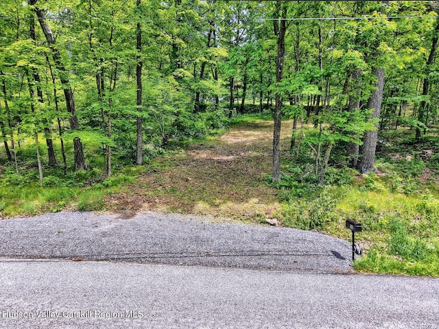 268 Potic Mountain Rd, Catskill, NY 12414