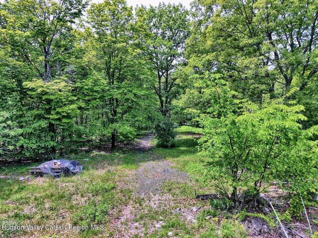 268 Potic Mountain Rd, Catskill, NY 12414