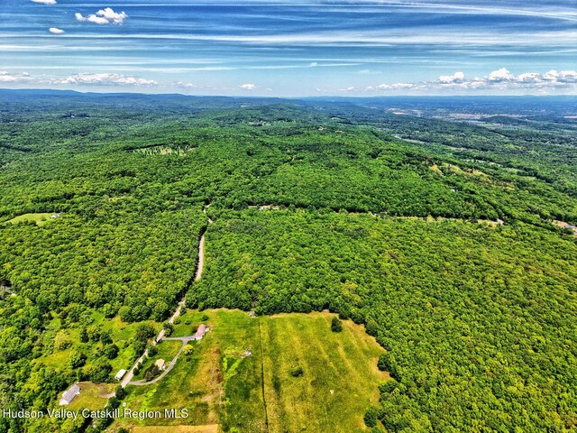 268 Potic Mountain Rd, Catskill, NY 12414