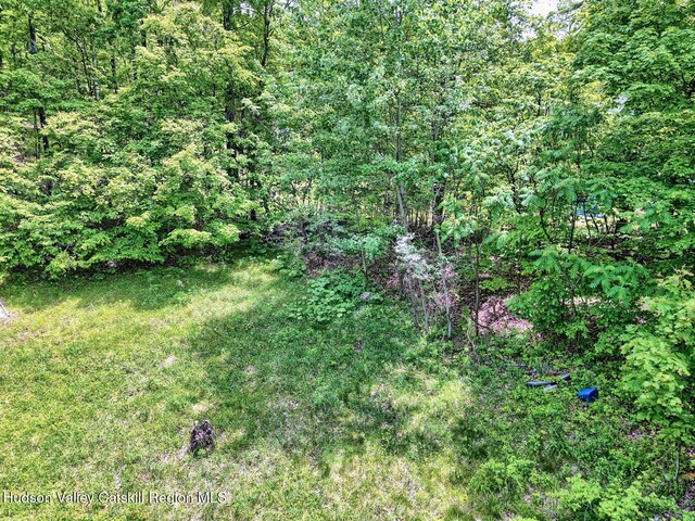 268 Potic Mountain Rd, Catskill, NY 12414