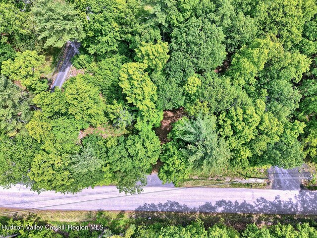 268 Potic Mountain Rd, Catskill, NY 12414