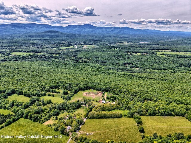 268 Potic Mountain Rd, Catskill, NY 12414