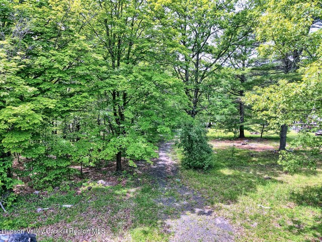 268 Potic Mountain Rd, Catskill, NY 12414