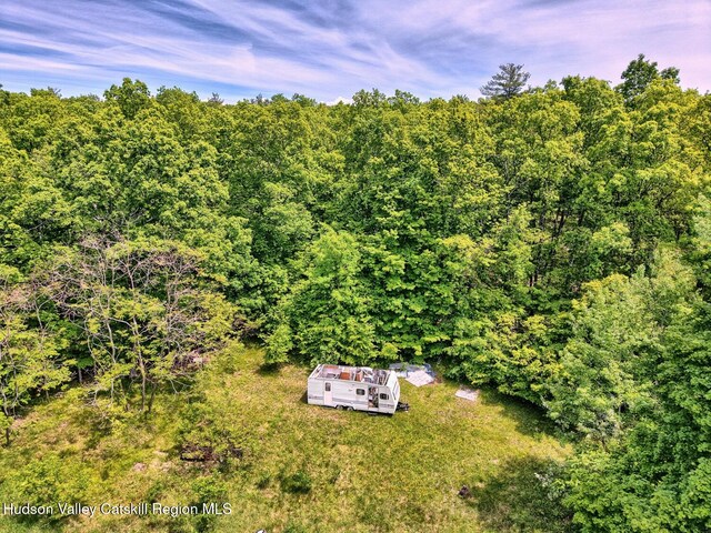 268 Potic Mountain Rd, Catskill, NY 12414